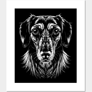 Dachshund Dog Head Black and White Posters and Art